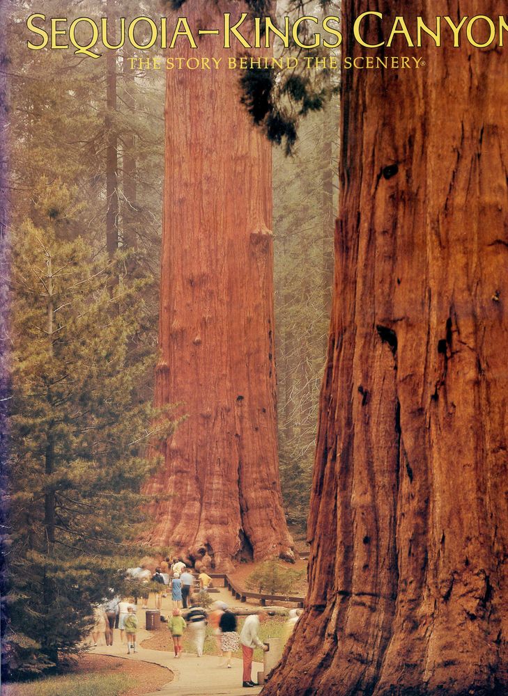 SEQUOIA-KINGS CANYON - The story behind the scenery 7 Rennes (35)