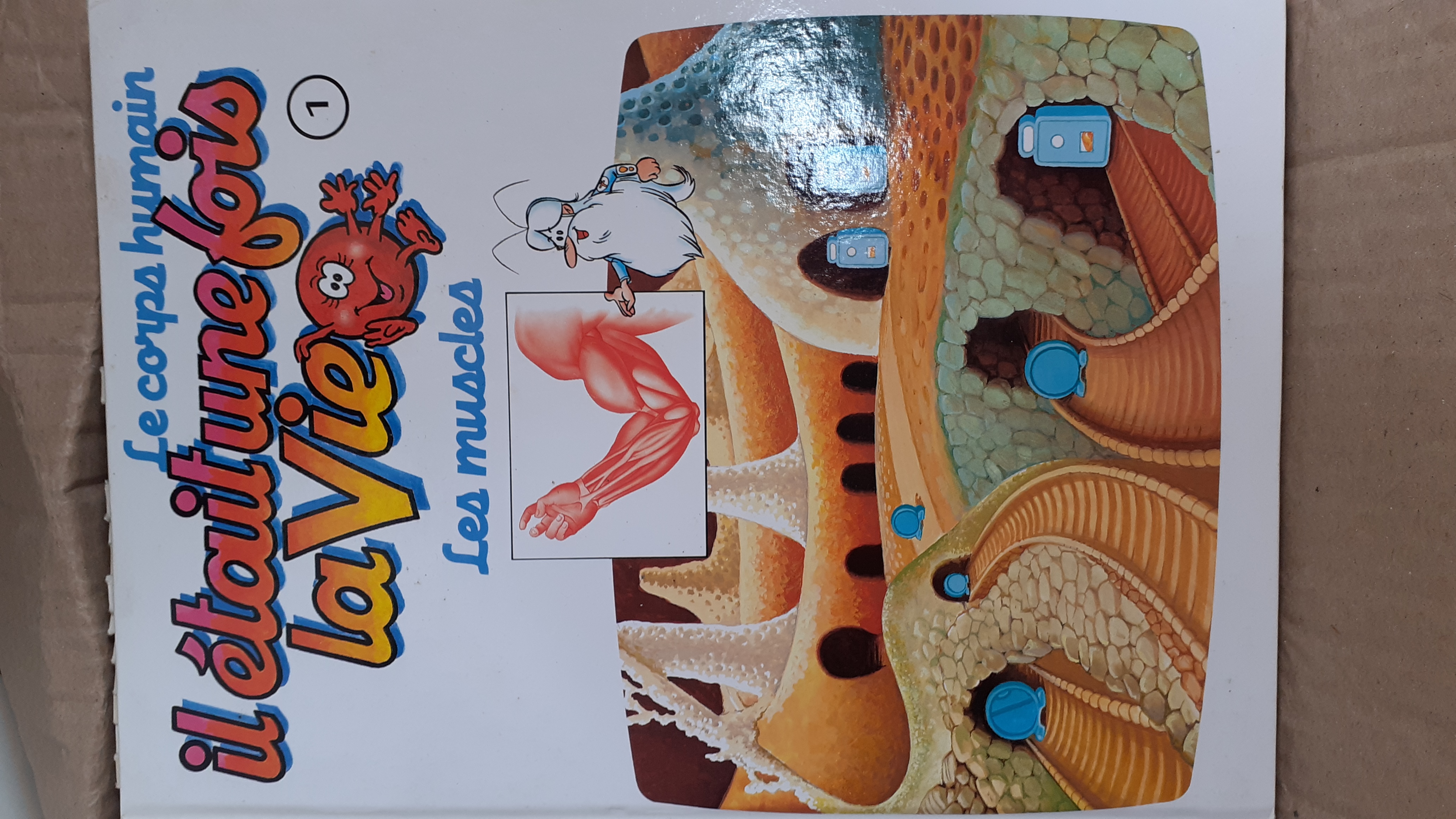 S�rie de livres enfant  Il �tait une fois la vie   150 Saint-Germain-en-Laye (78)