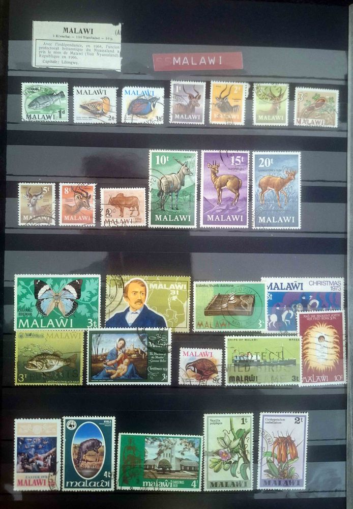 S�rie de timbres de collection de Malawi 12 Gap (05)