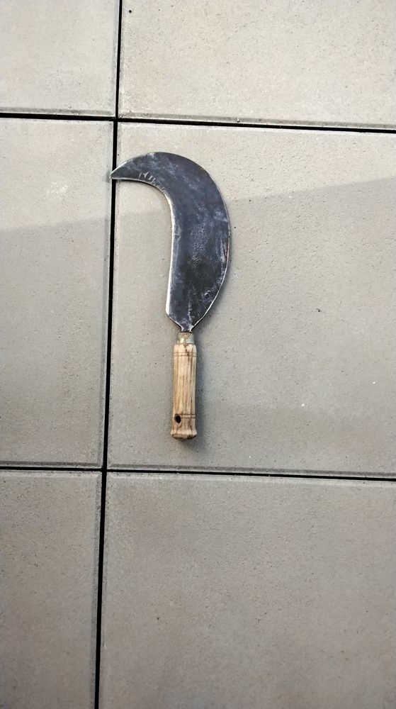 serpe 15 Nantes (44)