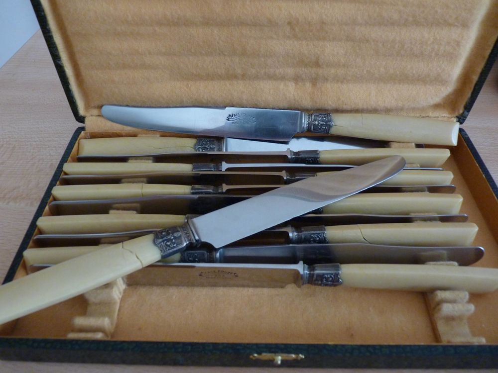 SERVICE 12 COUTEAUX 20 Fontaine-l�s-Dijon (21)