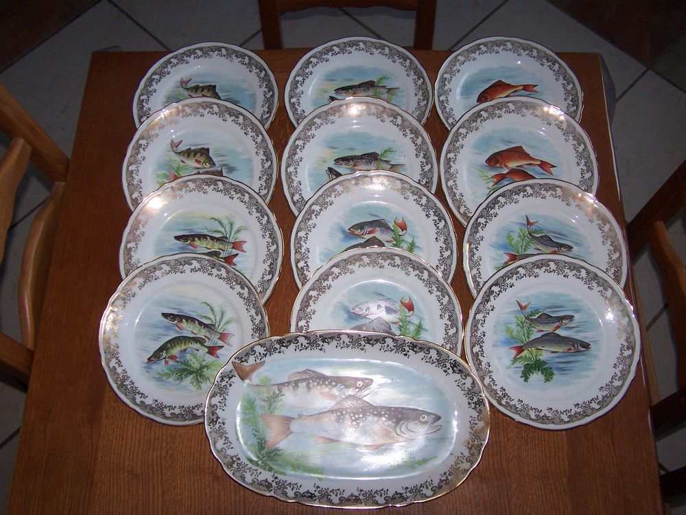 service a poisson porcelaine 80 Saint-Saturnin (51)