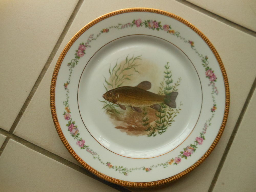 Service � poisson 190 Beausemblant (26)