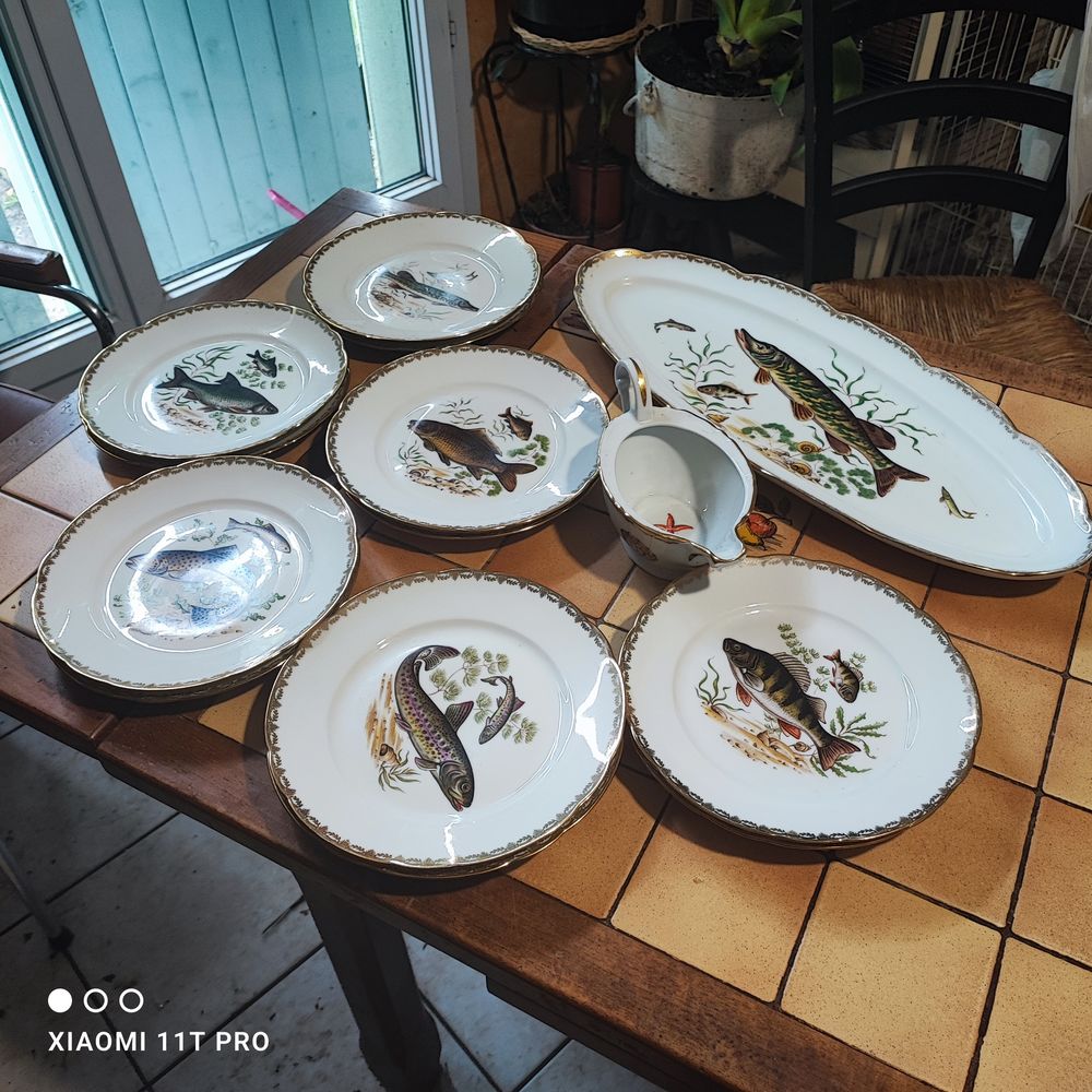 Service a poisson 30 Chevagnes (03)