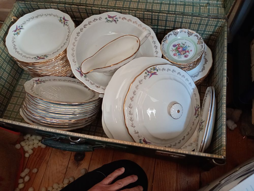 service porcelaine l'amandinoise  , 75 pi�ces 0 Port-la-Nouvelle (11)