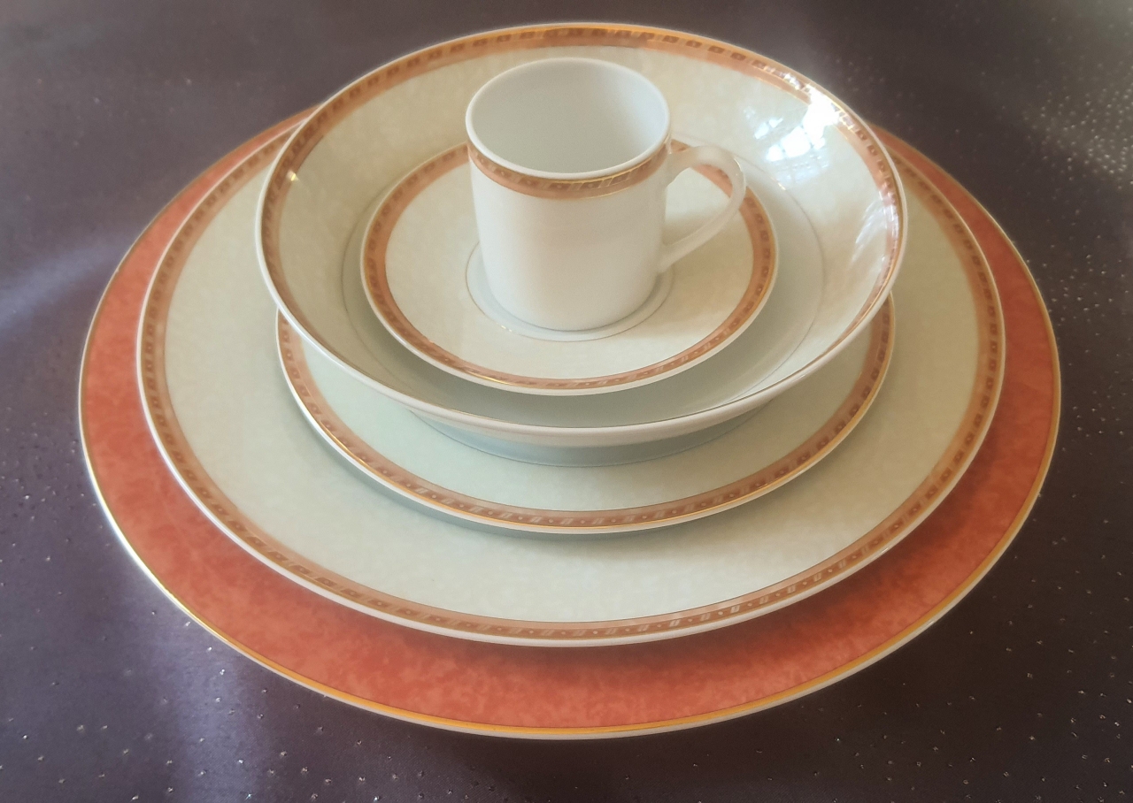 Service R�my Delini�res 80 pi�ces Porcelaine de Limoges 260 Pont-Sainte-Maxence (60)