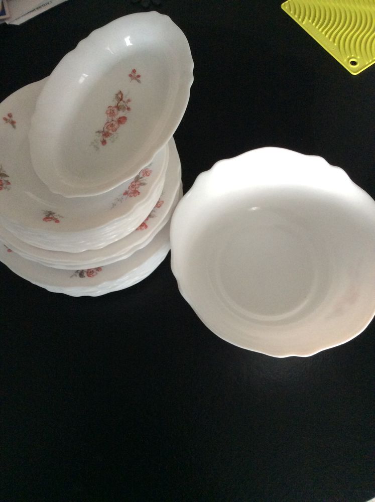 Service � vaisselle ARCOPAL de 20 Pi�ces 25 Nantes (44)