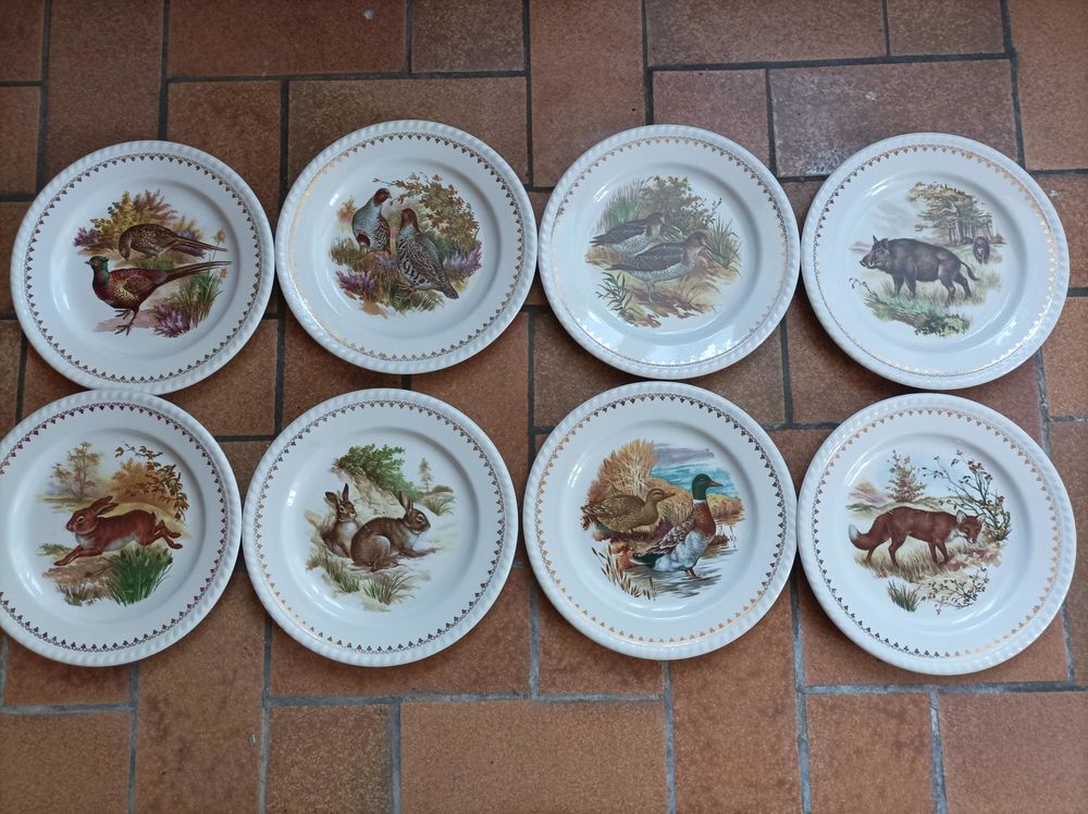 Service vaisselle 35 Roye (70)