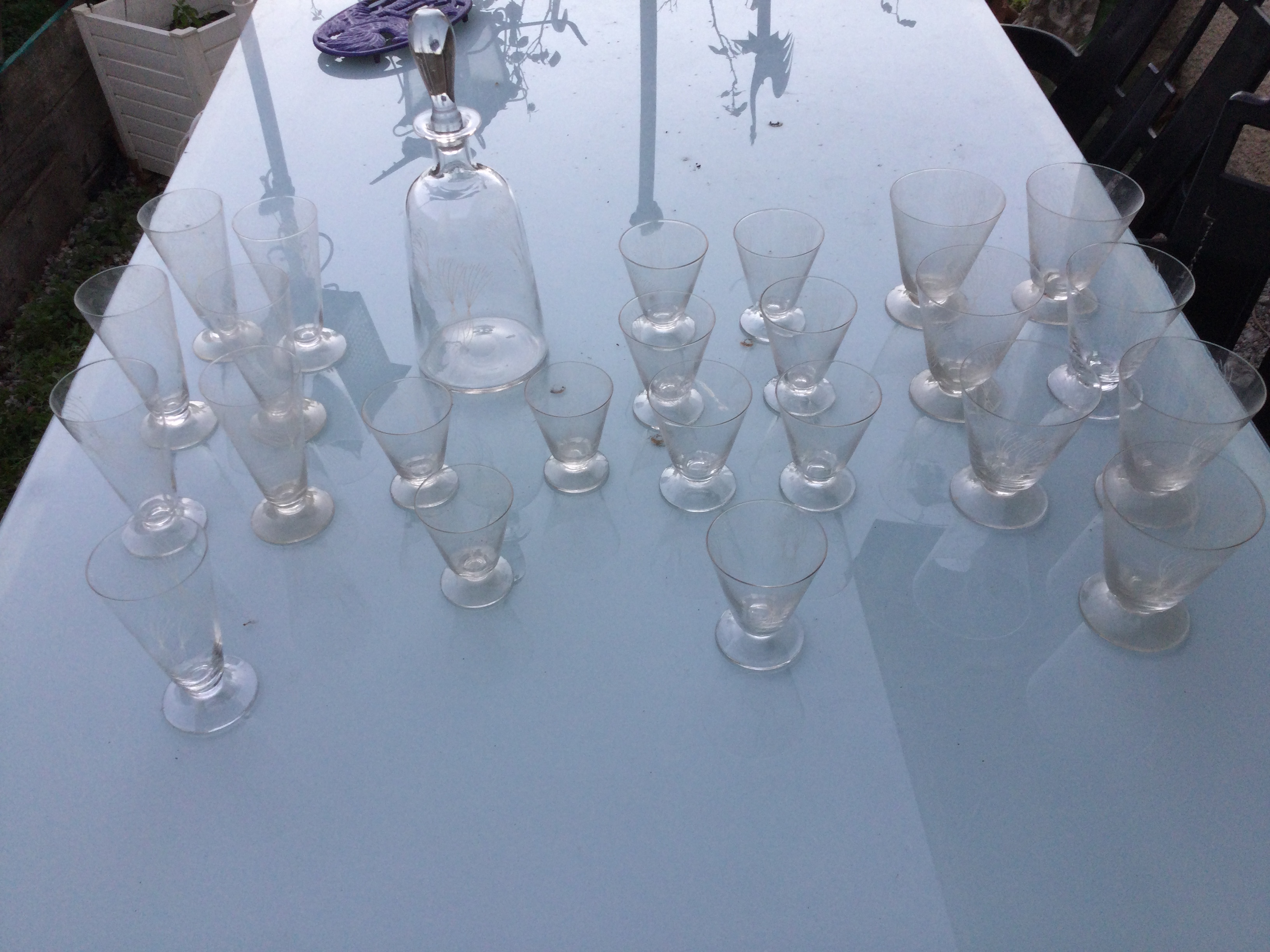 Service 24 verres et sa carafe 58 Toulouse (31)