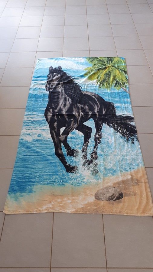 Serviette plage ou bain taille XXXL 35 Celles-sur-Belle (79)