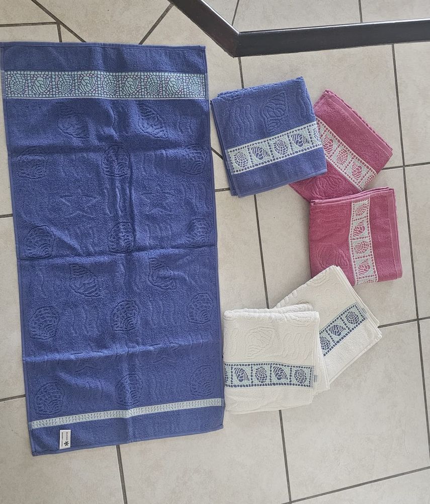 Serviettes et torchons 10 Viviers-du-Lac (73)