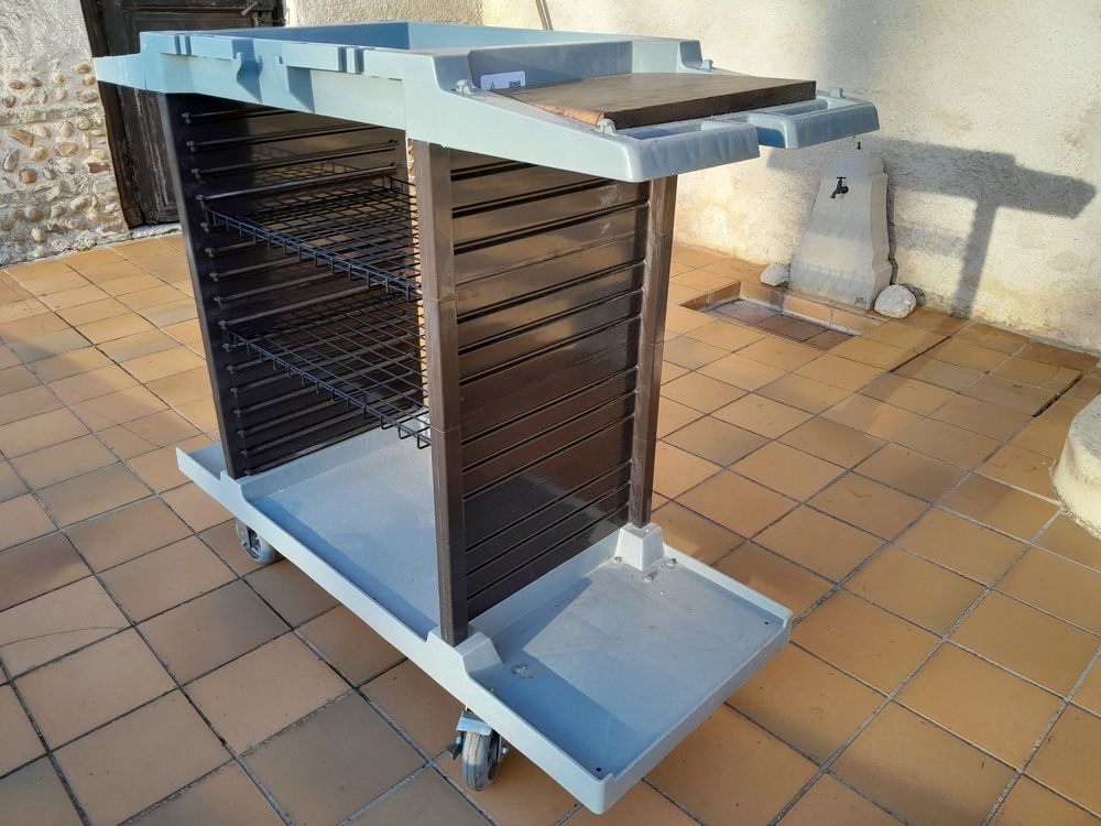 serviteur sur roulettes 50 P�ronnas (01)