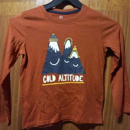 Tee shirt avec montagne 8 ans 1 La Fert�-sous-Jouarre (77)