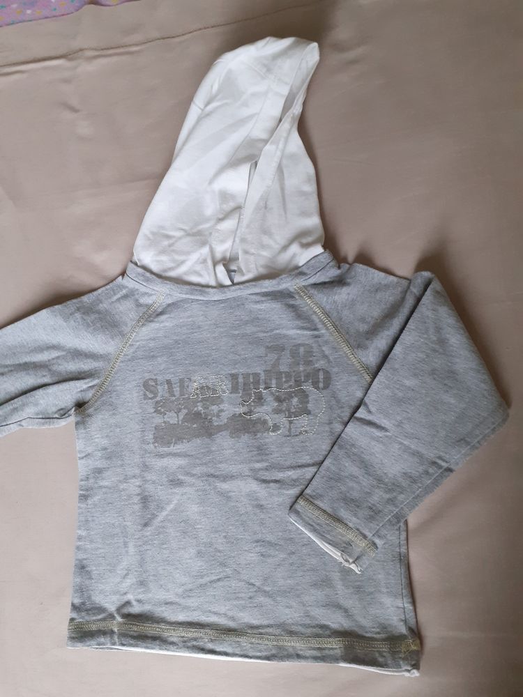 Tee-shirt � capuche gar�on 23 mois 2 Grisolles (82)