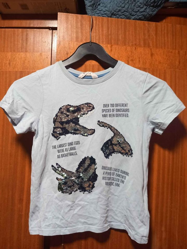 Tee shirt dinosaures H&M 8 ans 1 La Fert�-sous-Jouarre (77)