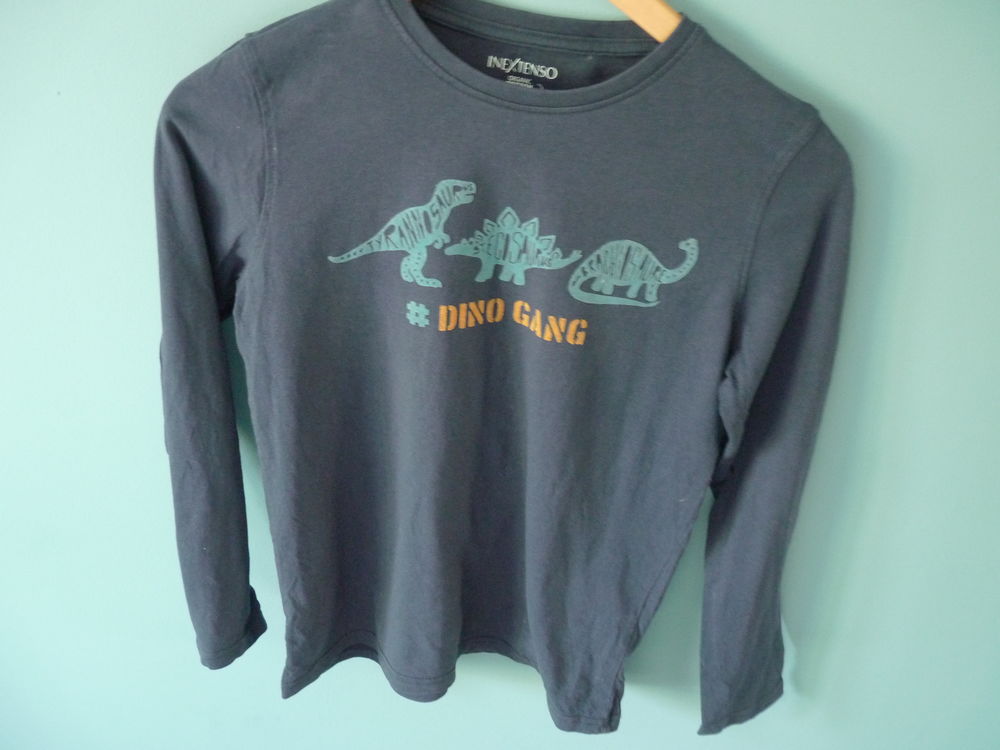 T-shirt in extenso 12 ans garçon dinosaures bleu TBE 1 Brienne-le-Château (10)
