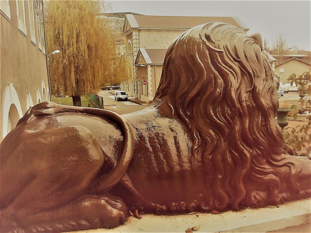 LOT 450 T SHIRT FRUIT OF TEH LOMM 0 V�rin (42)