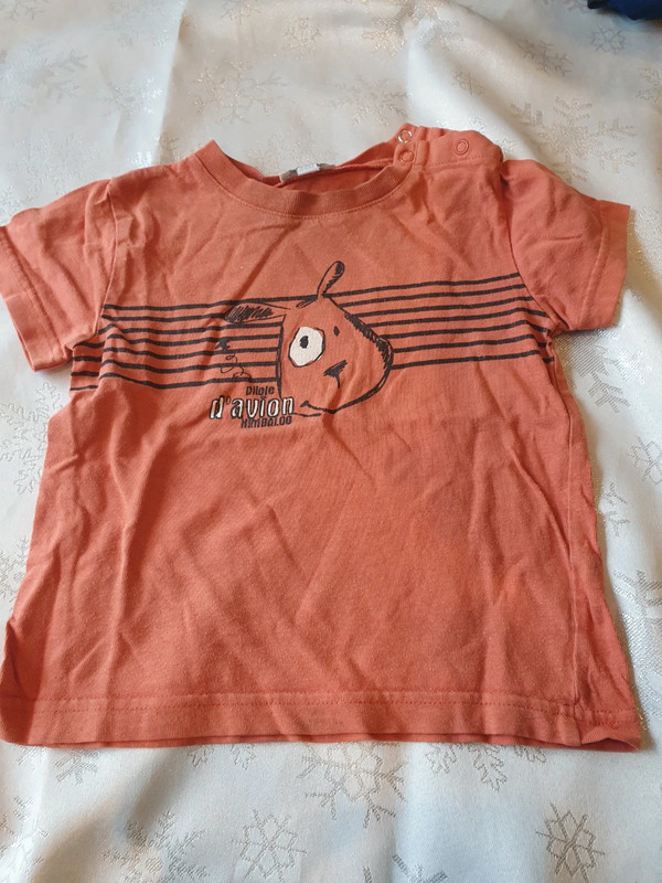 Tee shirt manche courte 
orange 
24 mois 1 Aubvillers (80)