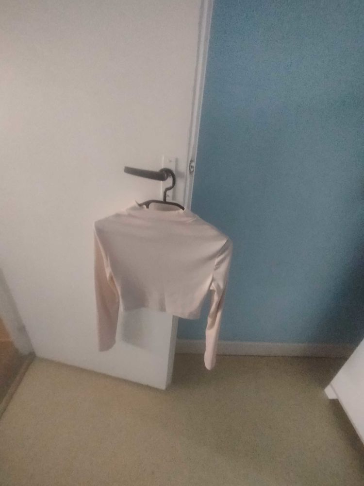 lot de 2 tee-shirt manche longues 15 Lorient (56)