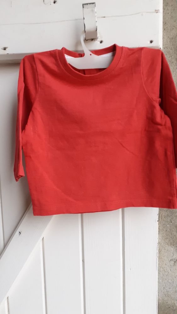 Tee-shirt manches longues gar�on 9 mois 2 Grisolles (82)
