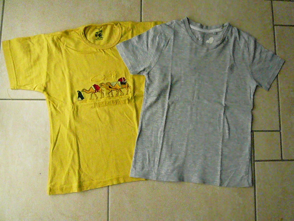 Lot de 2 tee-shirts gar�on 6 ans (n�27) 8 Franqueville-Saint-Pierre (76)