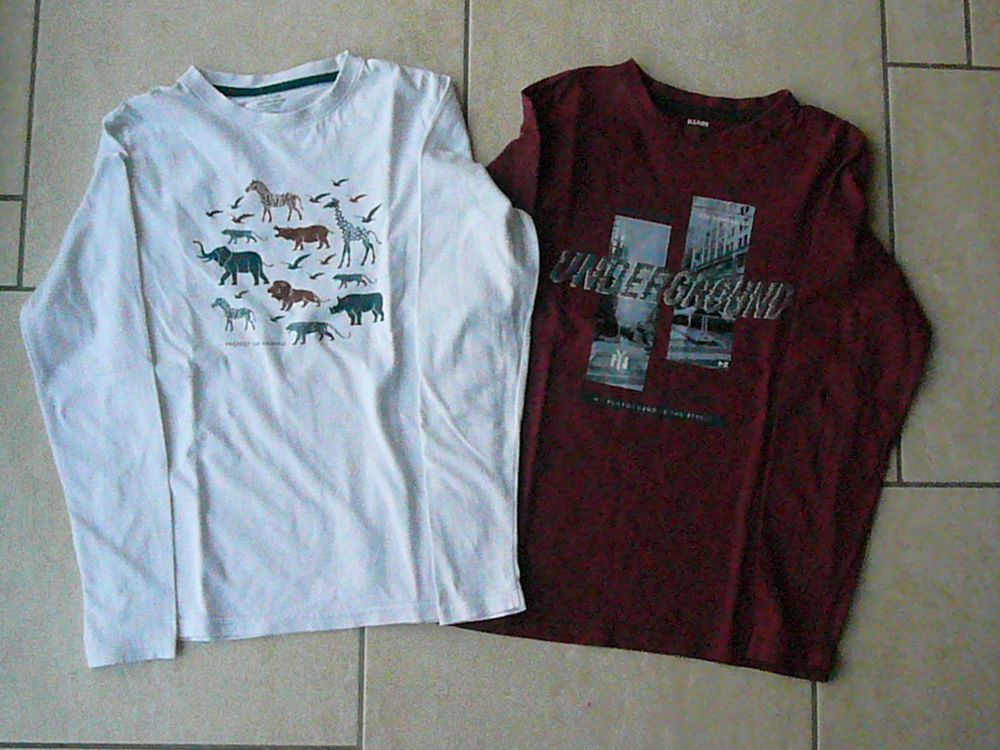Lot de 2 tee-shirts gar�on 10 ans (n�34) 8 Franqueville-Saint-Pierre (76)