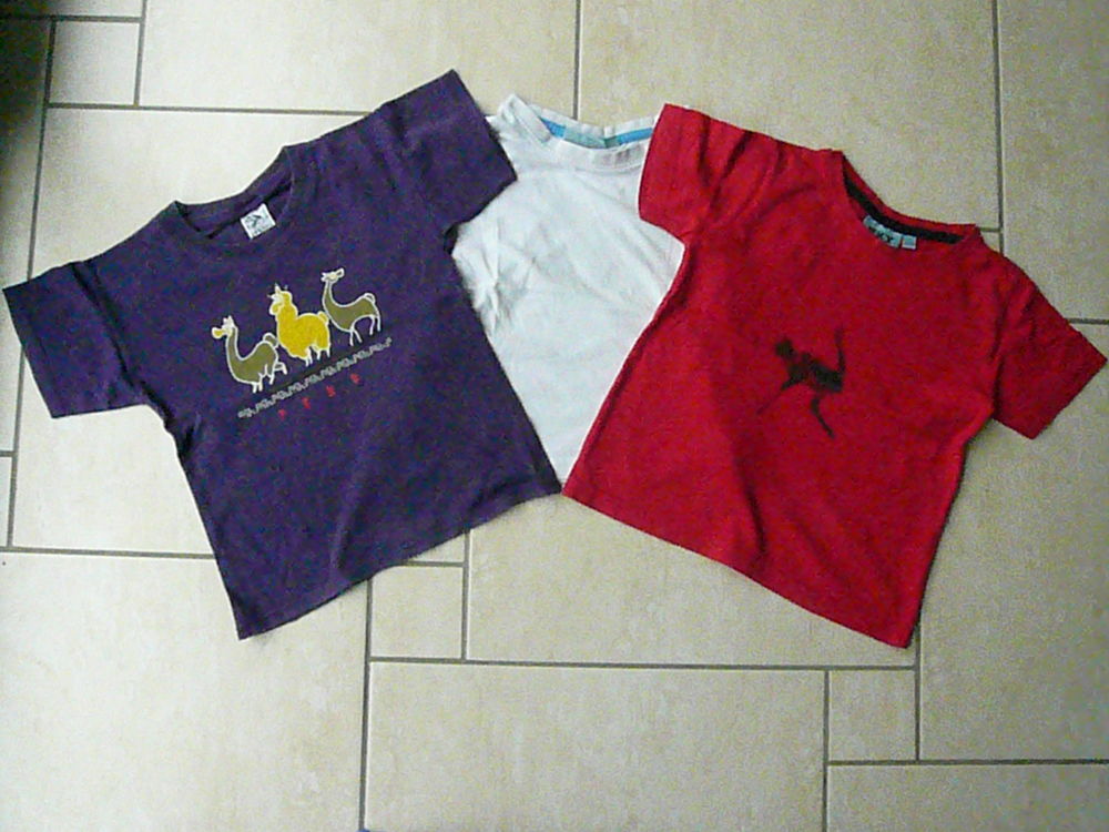 Lot de 3 tee-shirts 4 ans (n�28) 10 Franqueville-Saint-Pierre (76)