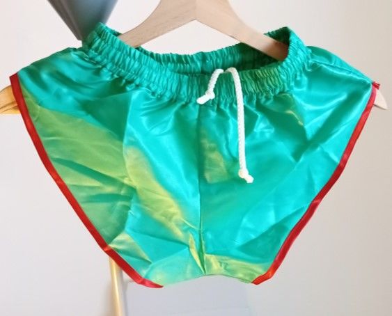 Short neuf nylon polyamide Vintage Vert/Rouge S/L 40 23 Lyon 3 (69)