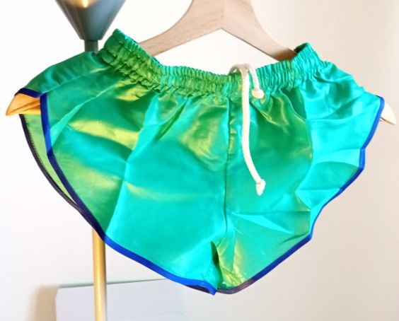 Short neuf Nylon Vintage Polyamide Vert/bleu Size S/L 40 22 Lyon 3 (69)