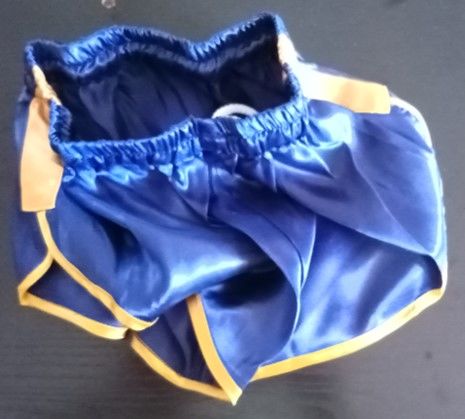 Short Vintage Nylon Satin Bleu outremer/or Taille S40 23 Lyon 3 (69)