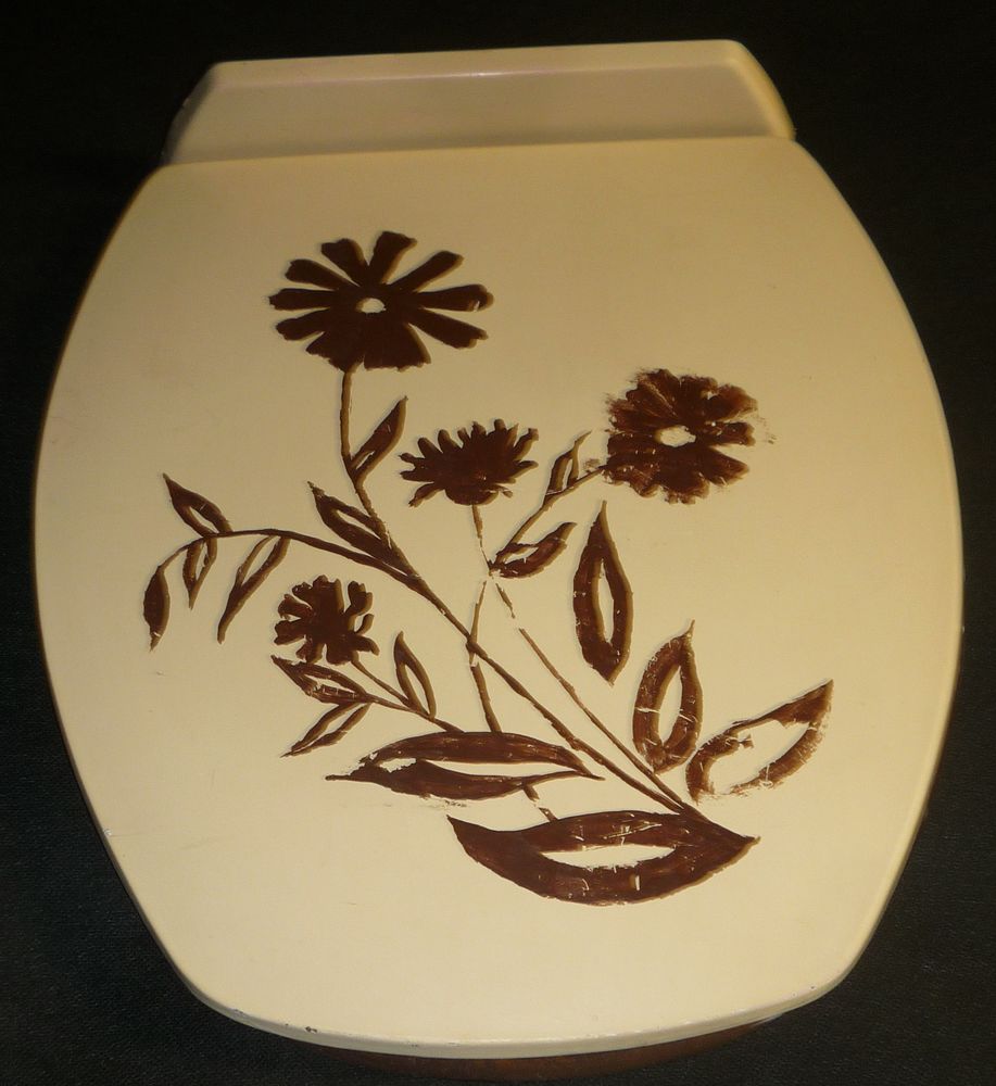 Siege et abattant en bois peint pour WC 29 Dole (39)