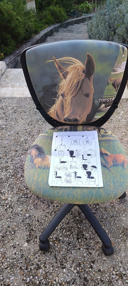 Si�ge de bureau junior 25 Ruelle-sur-Touvre (16)