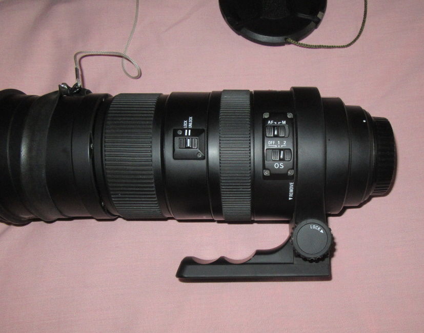 Sigma Objectif 150-500 mm F5-6,3 DG APO OS HSM 545 Rochefort (17)