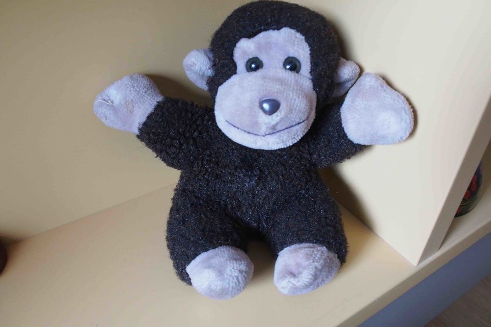 singe en peluche 10 Rennes (35)