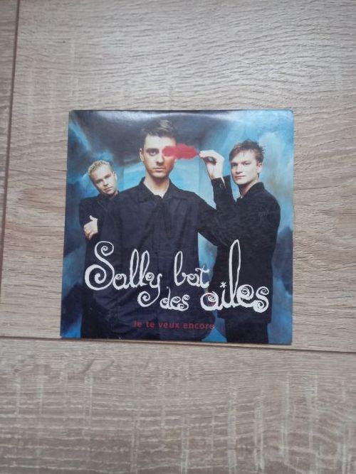 CD Single Sally bat des Ailes  Je te veux encore   1 Villiers (86)