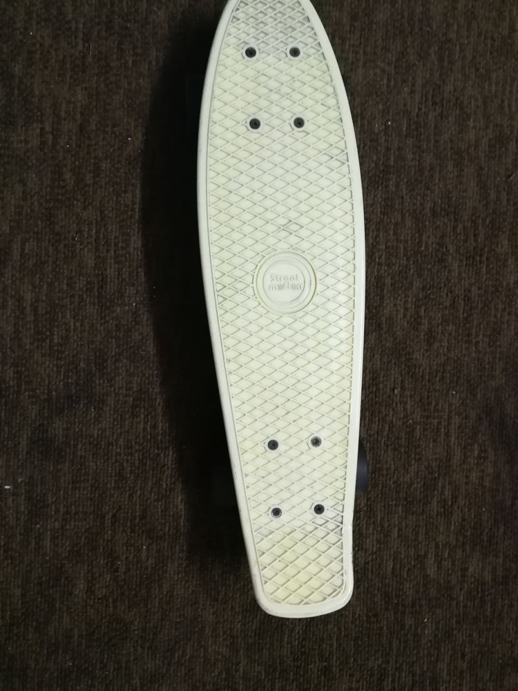 Skate board 20 Cagnes-sur-Mer (06)