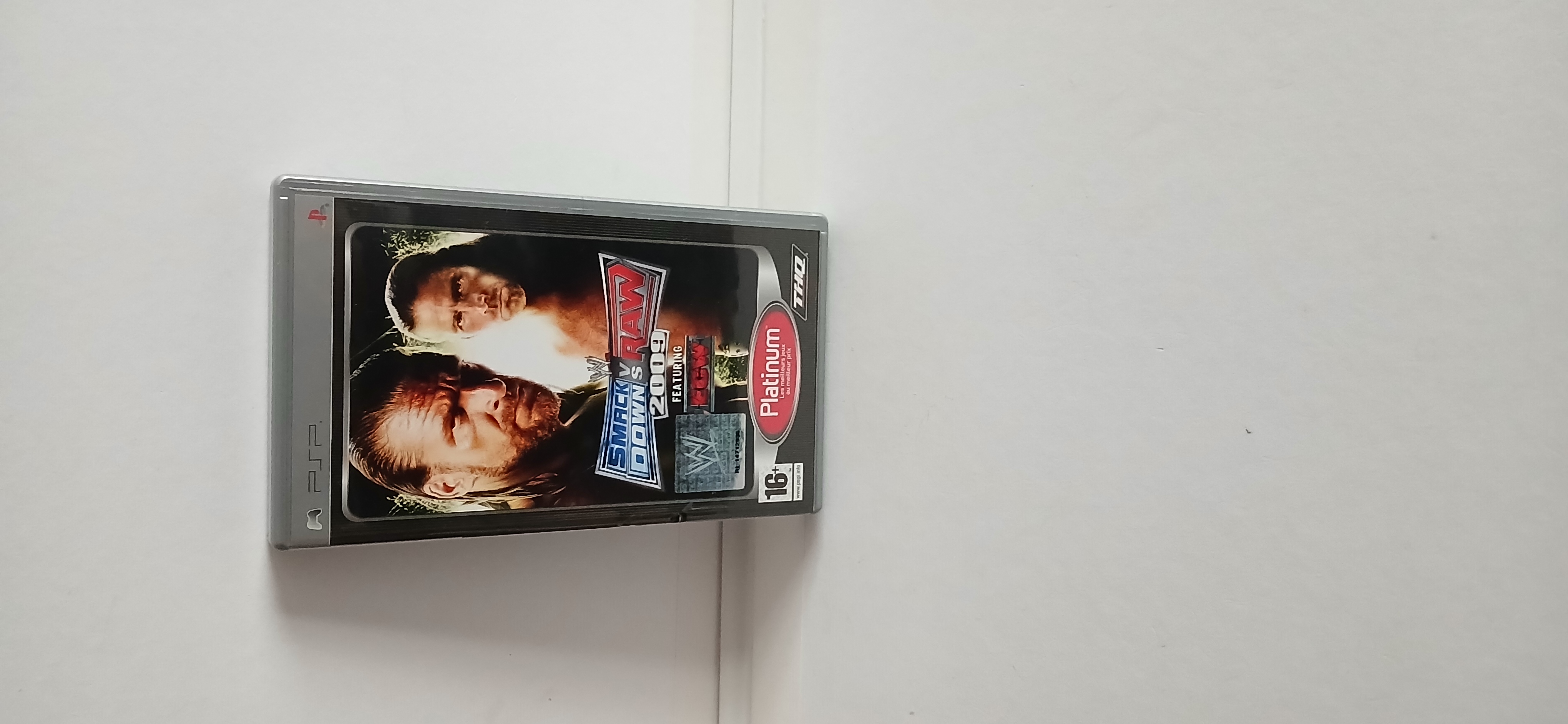 SMACK DOWN VS RAW 5 Isigny-sur-Mer (14)