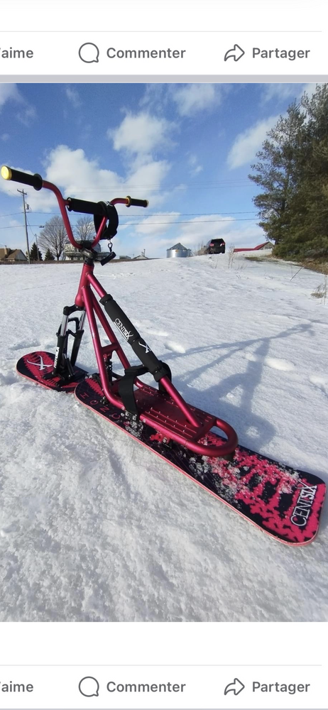 Snocout 1000 Croix (59)