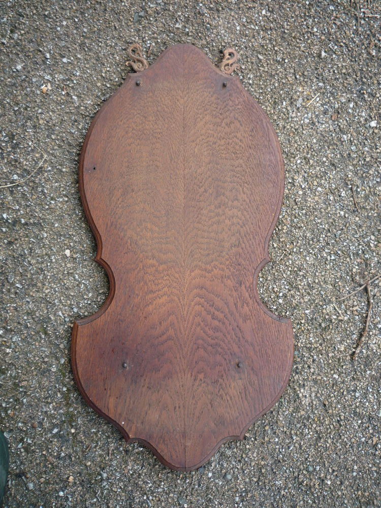 Socle bois taxidermie/massacre/fontaine 25 Castres (81)