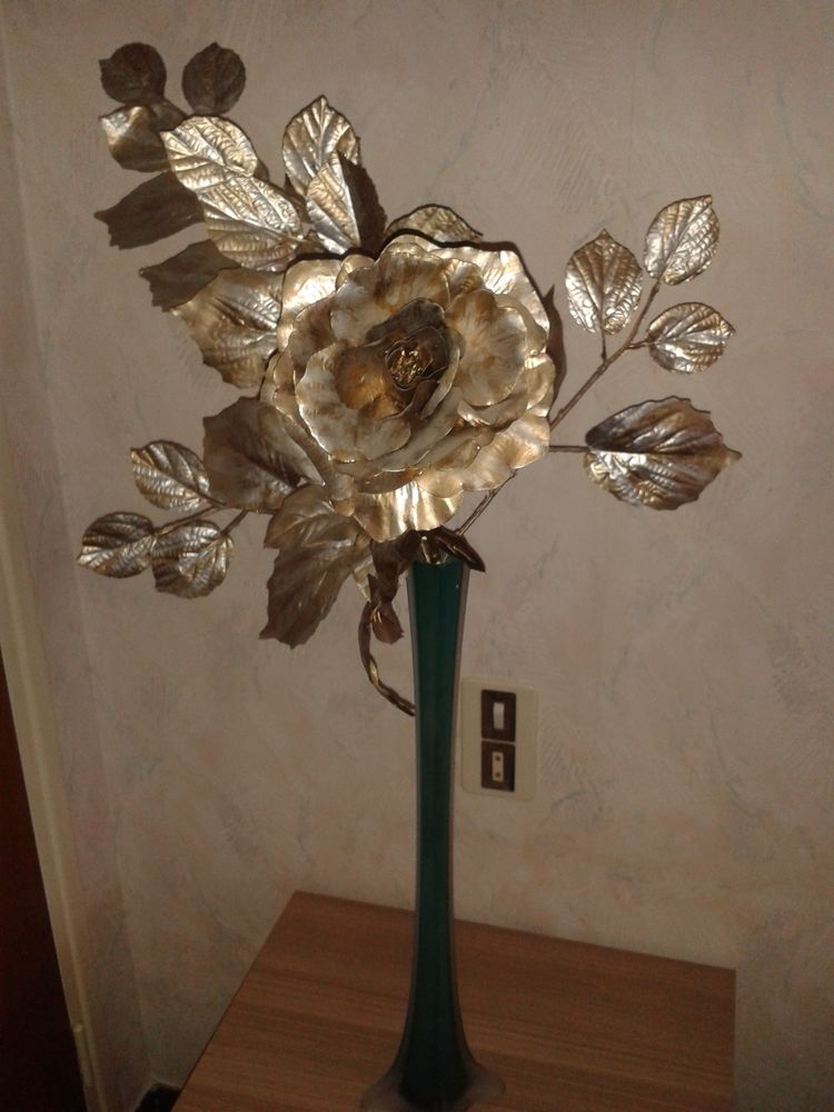 SOLIFLORE 5 Perpignan (66)