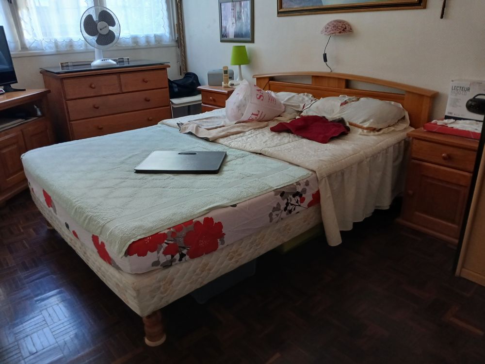 AV un sommier avec matelas 2 personnes TBE 80 Paris 15 (75)
