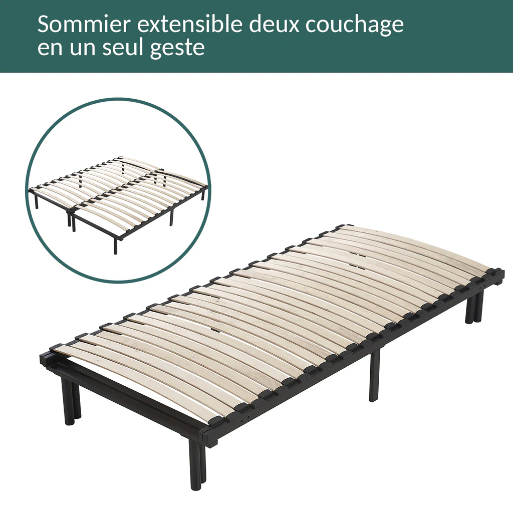 sommier extensible et son matelas 160 x 200 - TBE 250 Levallois-Perret (92)