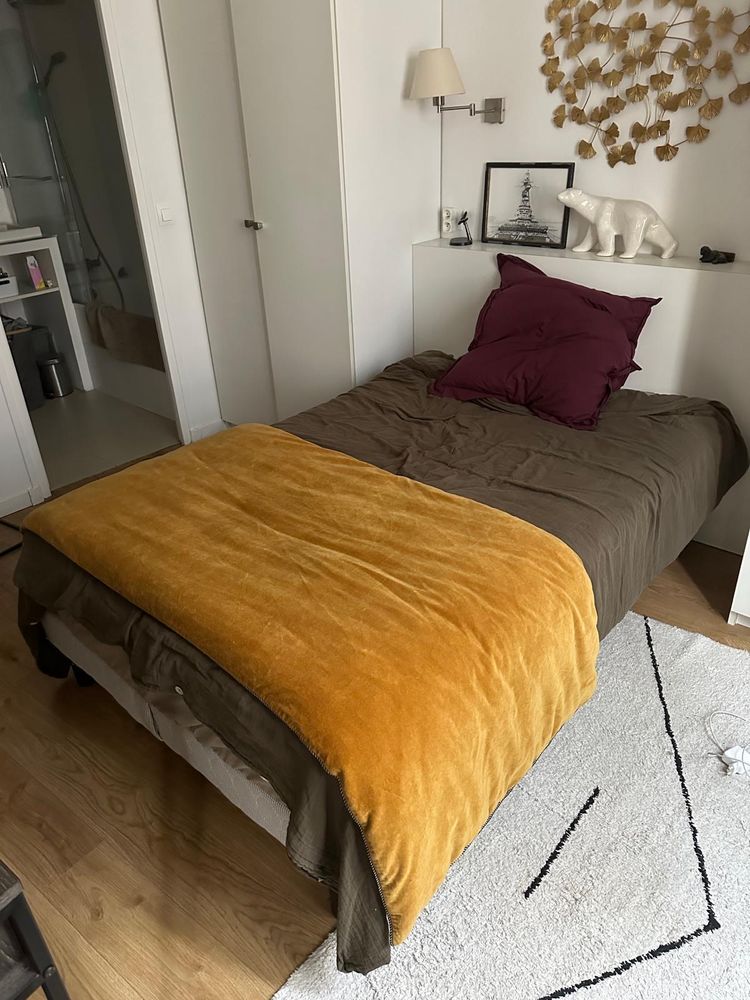 Sommier 120/200
30 Paris 3 (75)