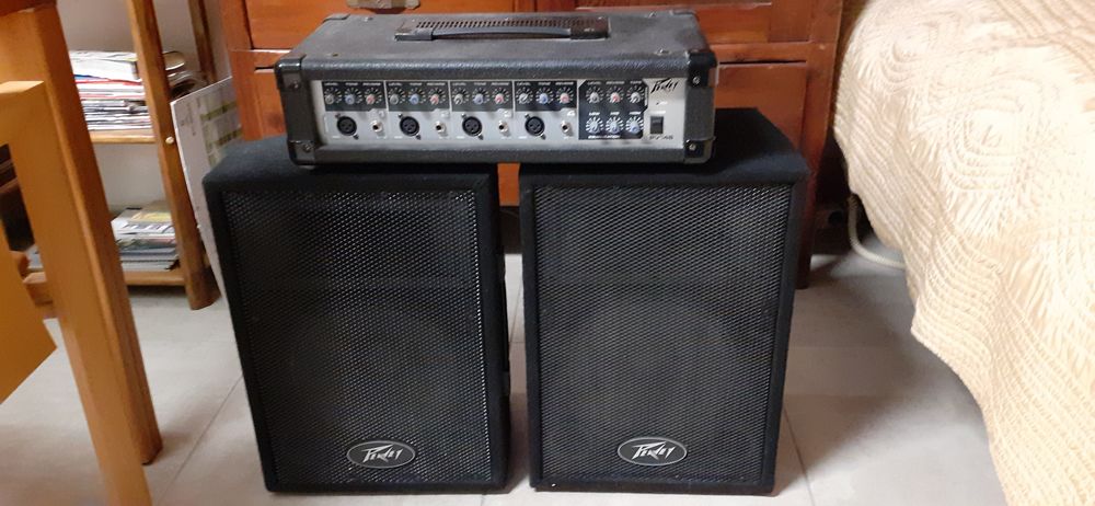 Sono PEAVEY. PV14B 100 W 200 Saint-Hilaire-de-Brethmas (30)