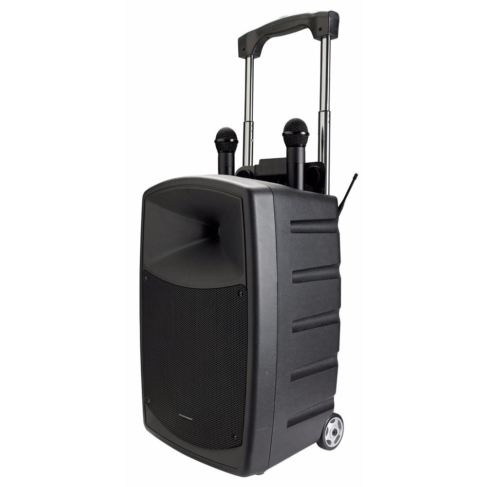 Sono Portable Amplifi�e Audiophony Combo CR12A avec 2 micros 295 Les Ponts-de-C� (49)