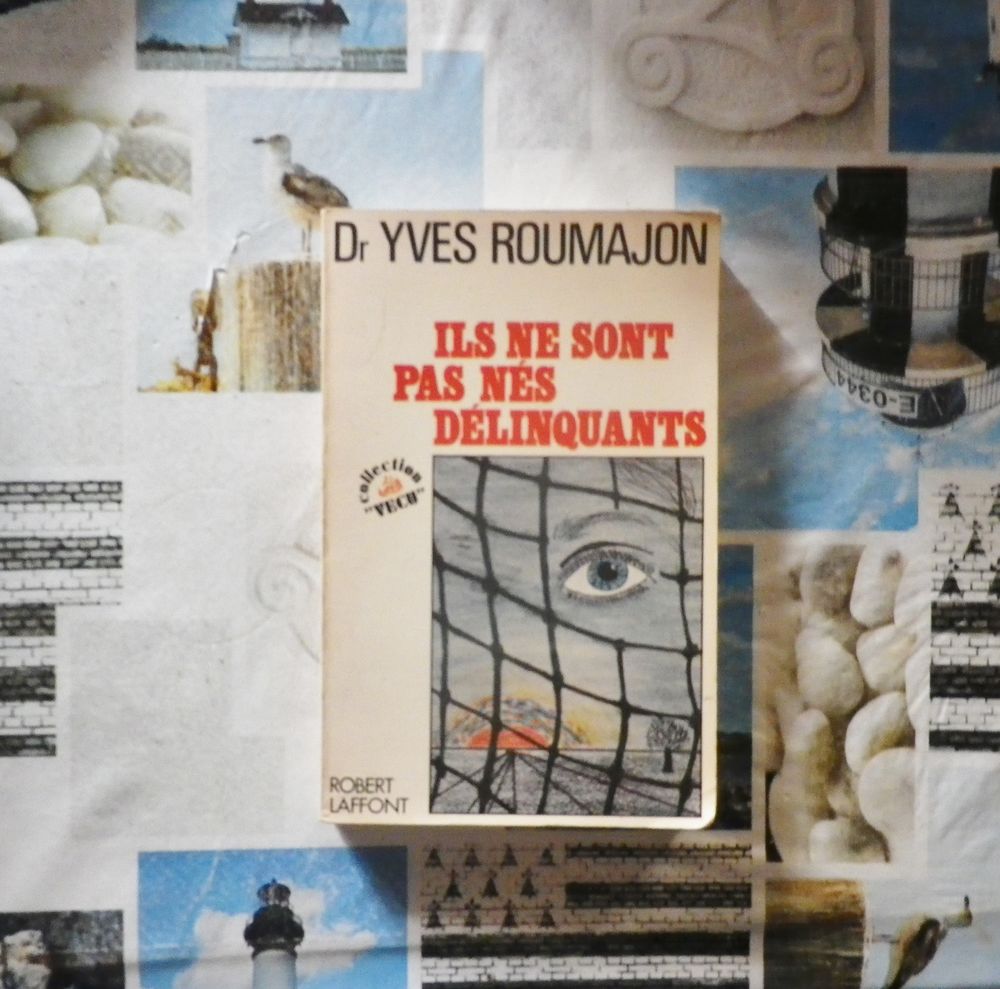 ILS NE SONT PAS NES DELINQUANTS par Dr Y. ROUMAJON 4 Bubry (56)