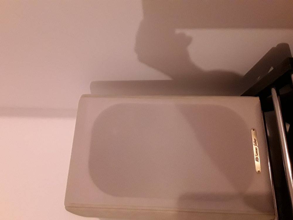 sonus faber wall serie concerto 290 Le Boulou (66)