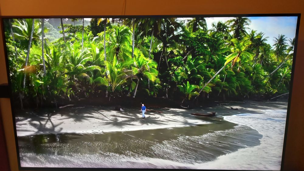 TV SONY BRAVIA  139 CM 290 Herbignac (44)