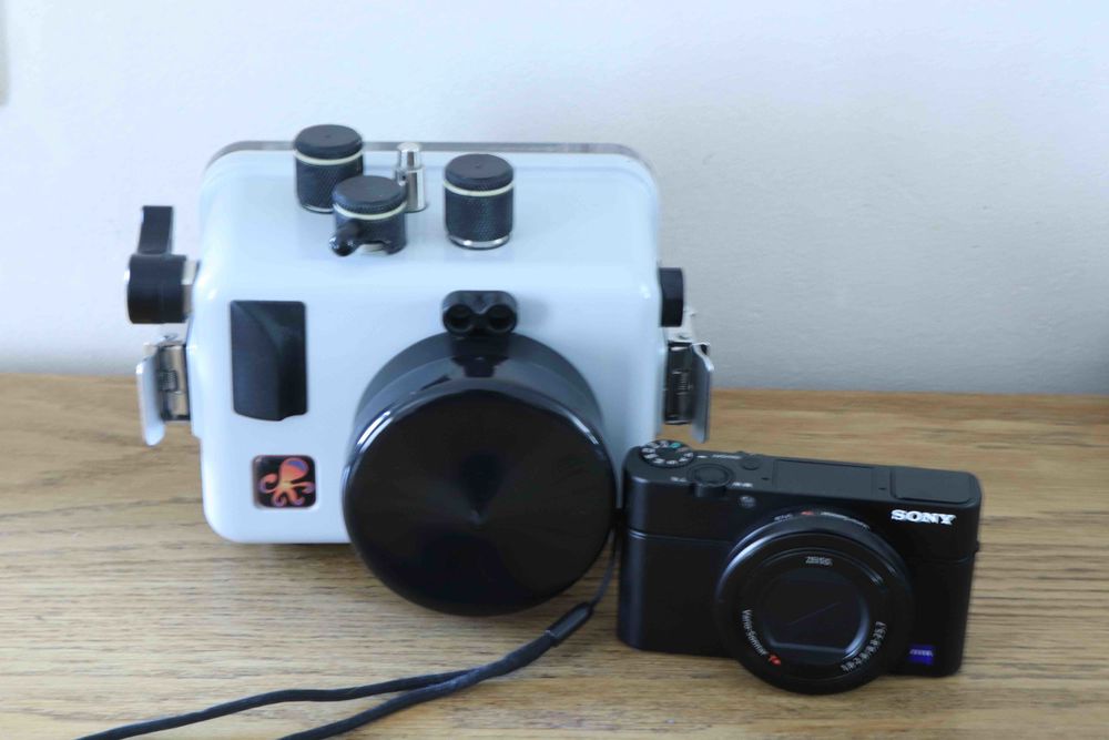 SONY RX 100 III + CAISSON ETANCHE IKELITE 740 Le Grand-Quevilly (76)