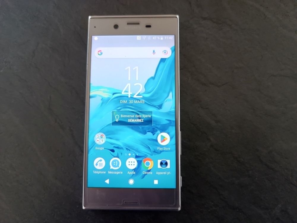 Sony Xp�ria XZ tr�s bon �tat 0 Saint-Gervais-la-For�t (41)